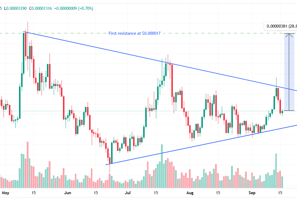 Shiba-Inu-price-analysis