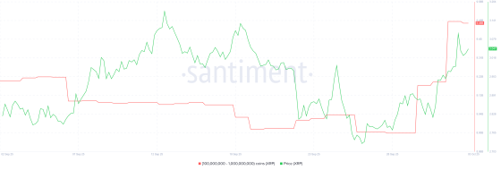 XRP Ledger (XRP) supply distribution