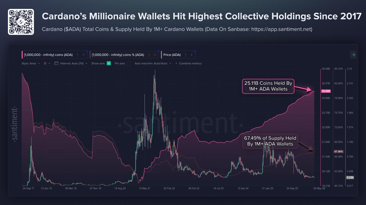 ADA wallet