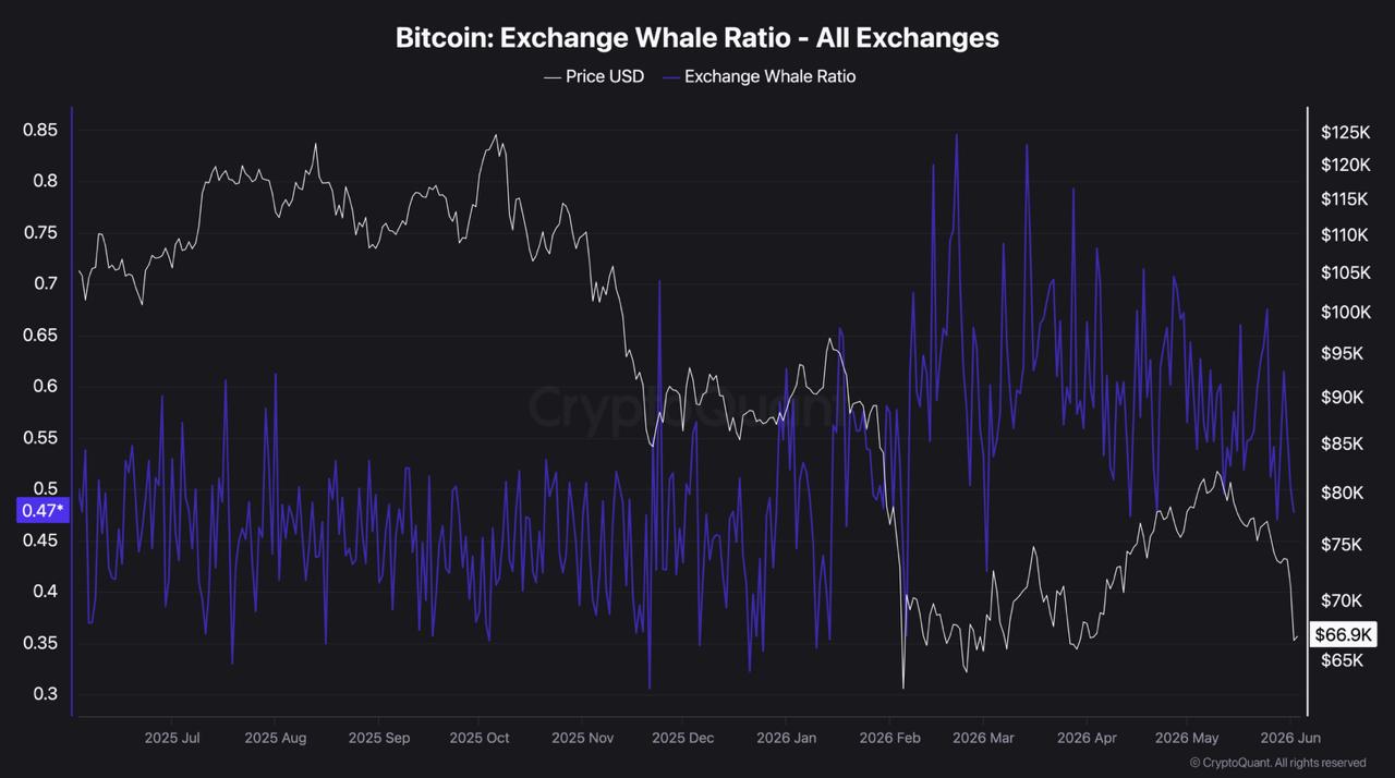 BTC onchain data chart