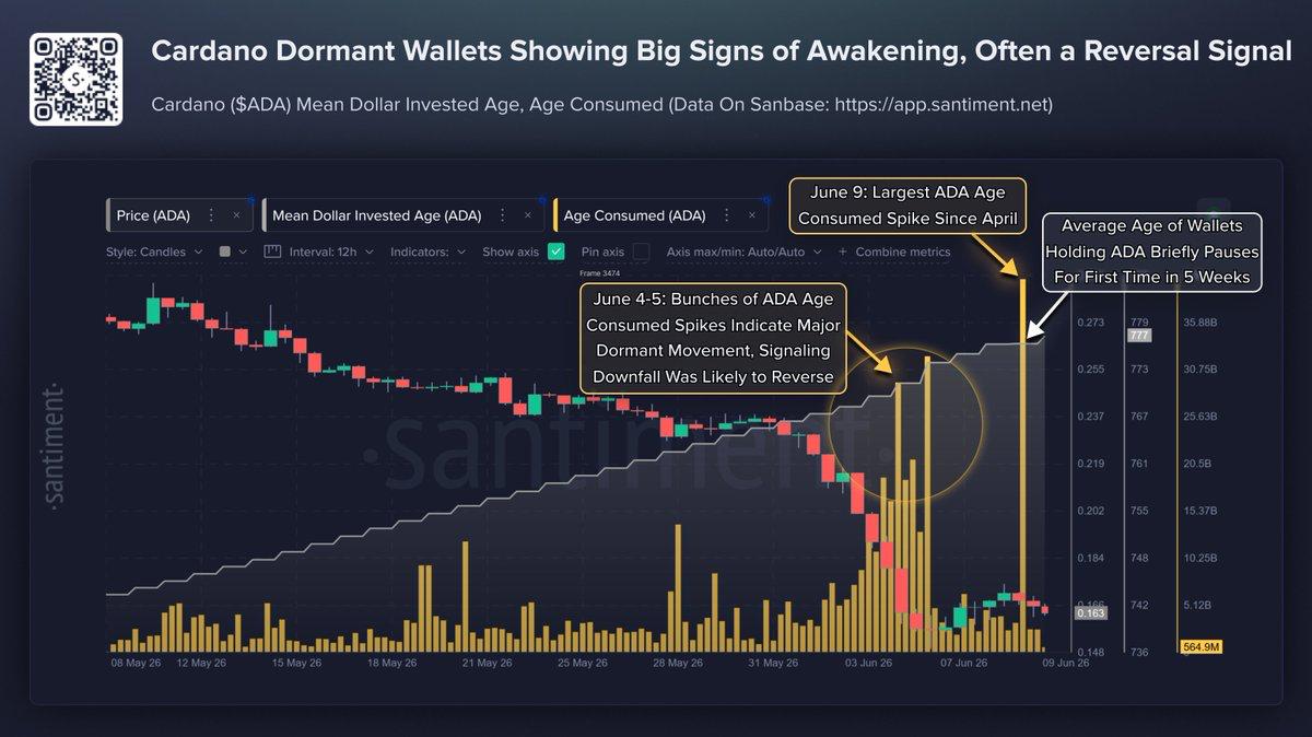 Cardano data frmo santiment, analyzed by coindoo.com team