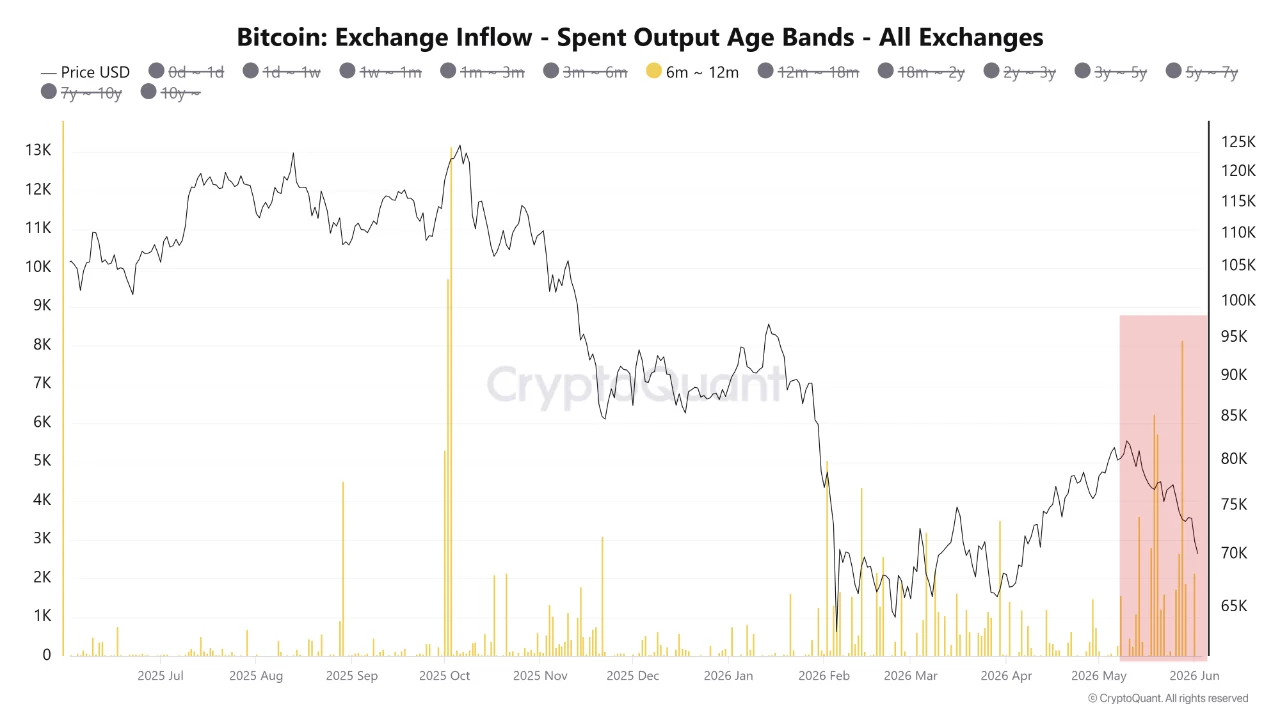CryptoQuant's Exchange Inflow Spent Output Age Bands