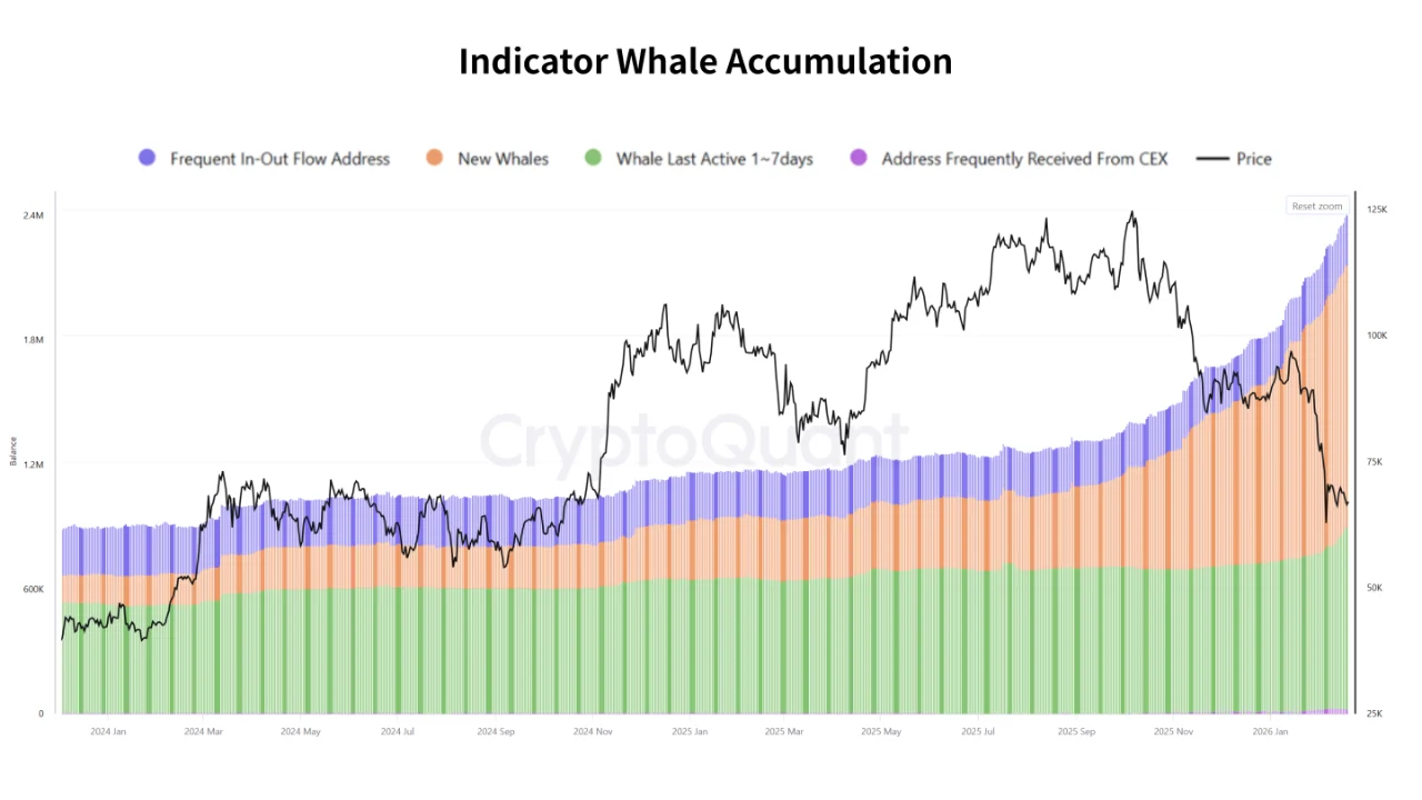 Stacked area chart displaying Bitcoin Whale Accumulation indicators, including new whales and active addresses, compared against the fluctuating Bitcoin price from 2024 to 2026.