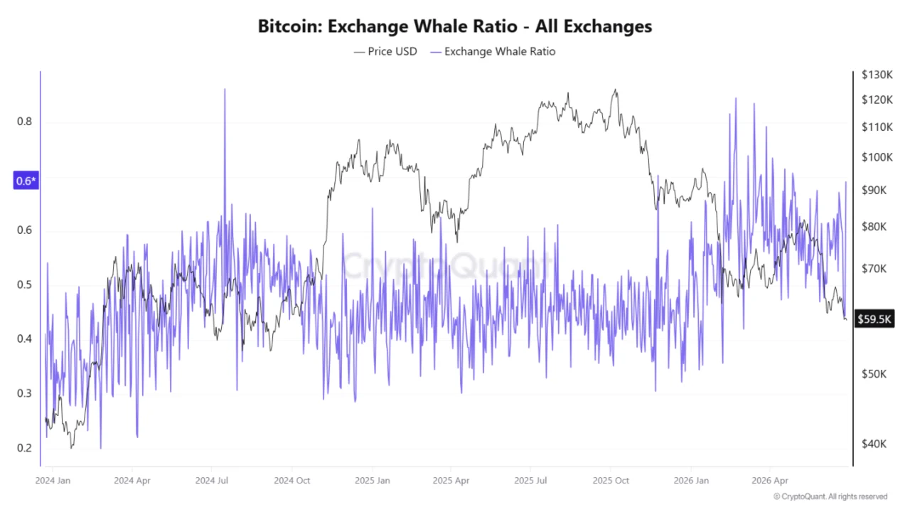 Line chart showing the Bitcoin Exchange Whale Ratio over time, with the Bitcoin price in black and the Exchange Whale Ratio in blue, highlighting market volatility from 2024 to 2026.