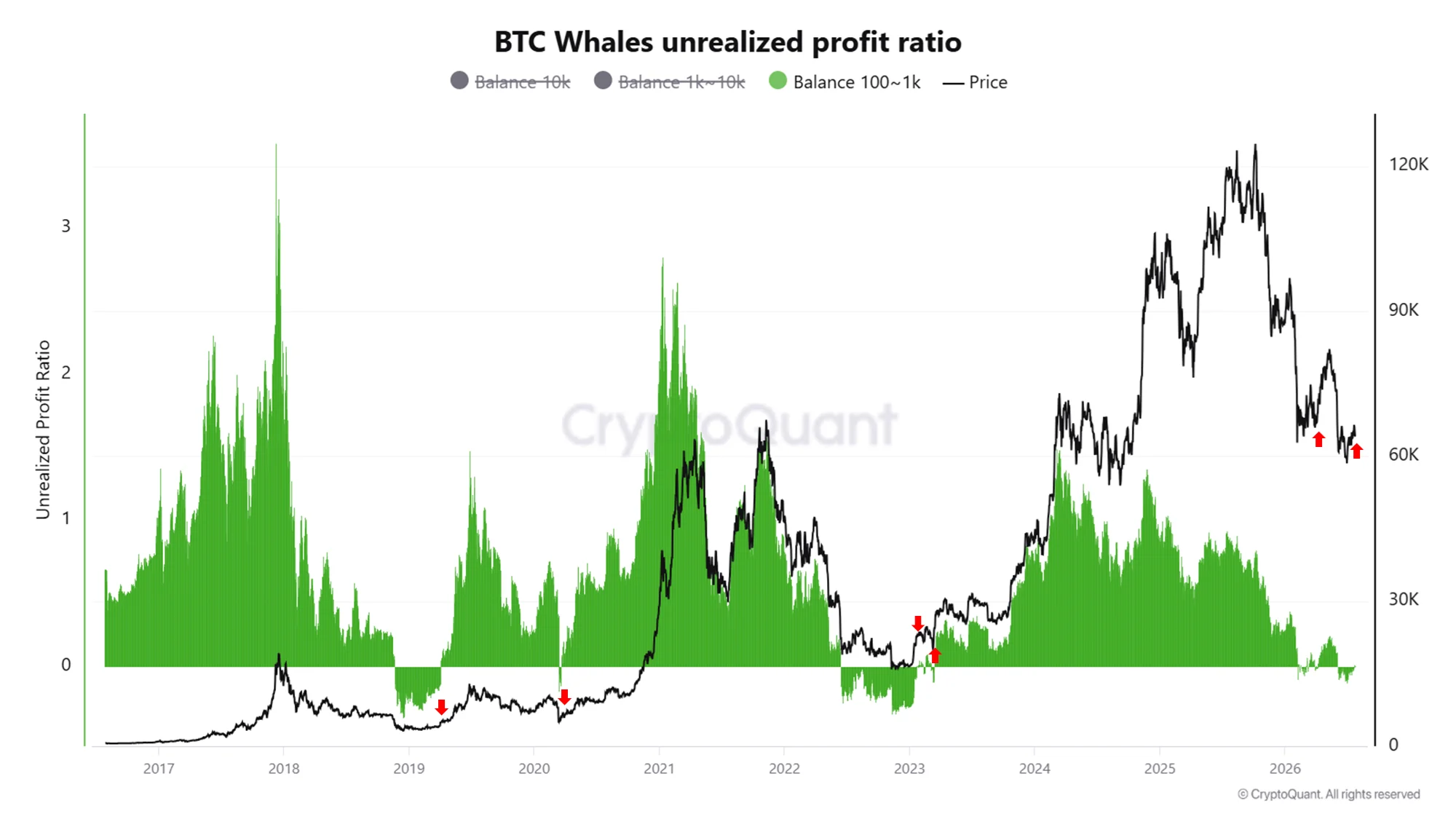 A CryptoQuant historical chart tracking Bitcoin whales' unrealized profit ratio (green and red shaded areas) alongside the BTC price line from 2017 to July 2026.