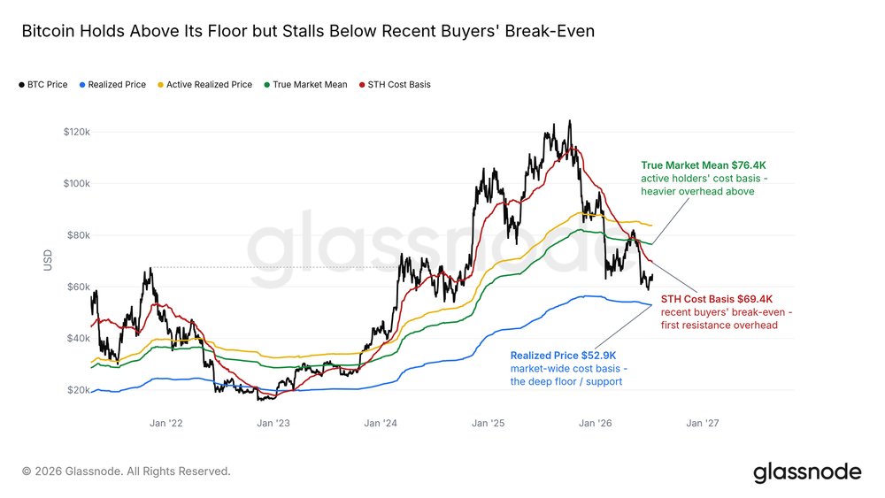 Chart showing Bitcoin price levels relative to realized price, True Market Mean, and STH cost basis.