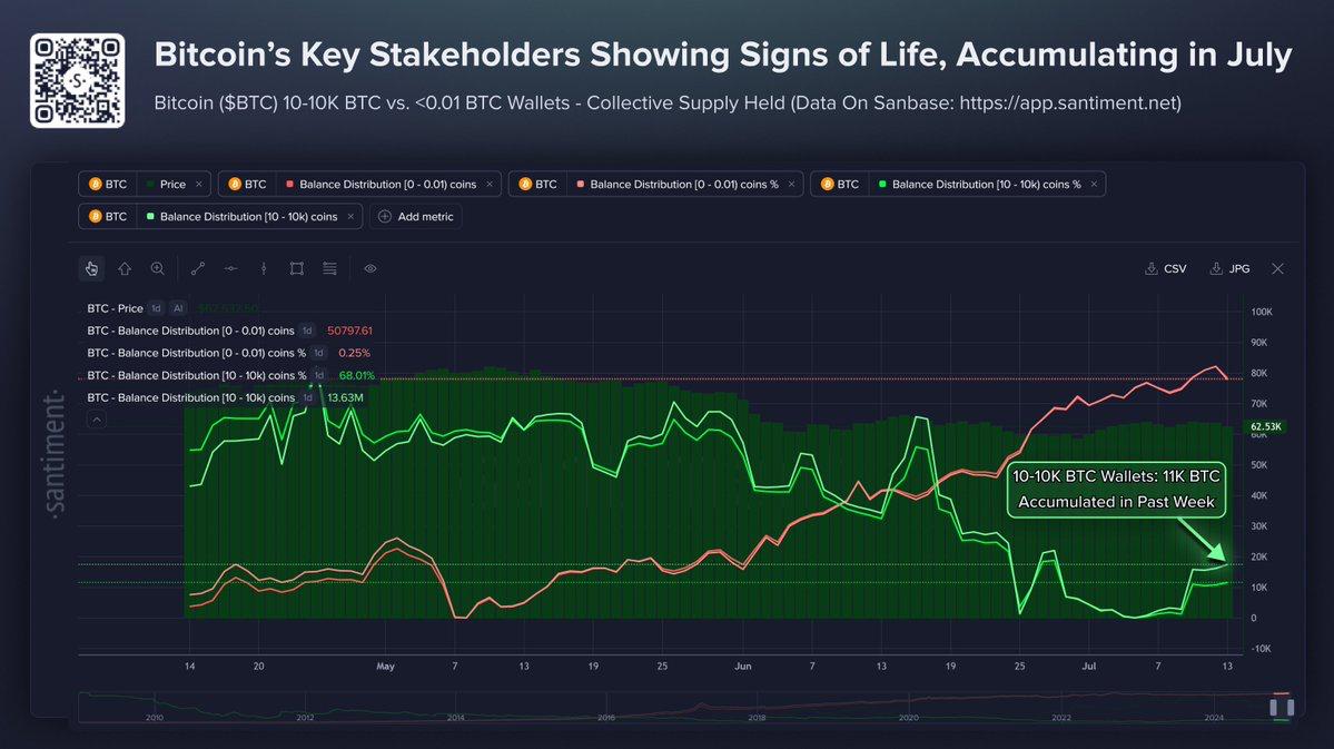 A Santiment chart titled "Bitcoin's Key Stakeholders Showing Signs of Life, Accumulating in July" depicting the collective supply held by different Bitcoin wallet cohorts over time, highlighting an accumulation of 11K BTC by the 10-10K BTC cohort in the past week.