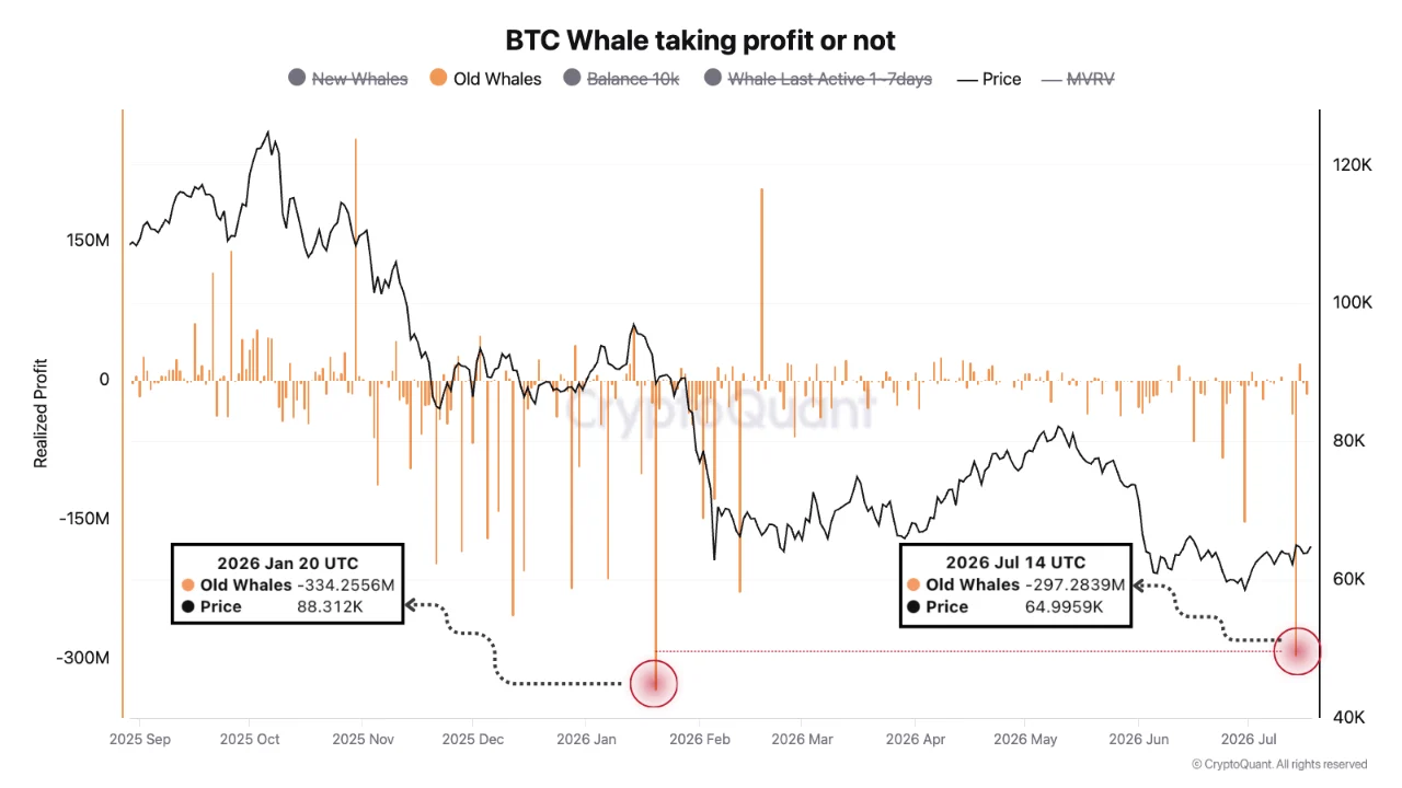 A CryptoQuant chart titled "BTC Whale taking profit or not," showing the realized profit of different whale cohorts (new, old, balance 10k, and active) against the Bitcoin price from September 2025 to July 2026.