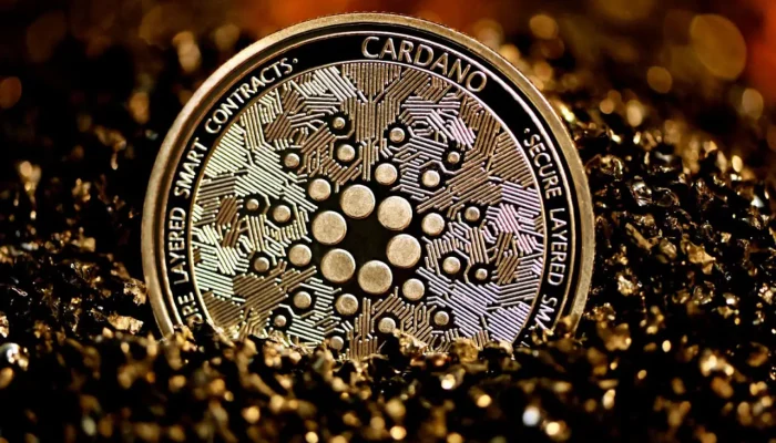 cardano-1295999