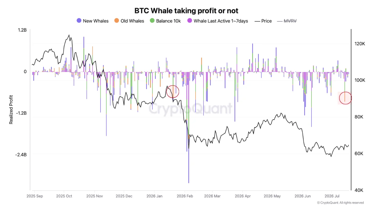 A CryptoQuant chart highlighting realized profit data for "Old Whales" specifically, showing significant profit-taking events on January 20, 2026, and July 14, 2026, compared to the Bitcoin price.