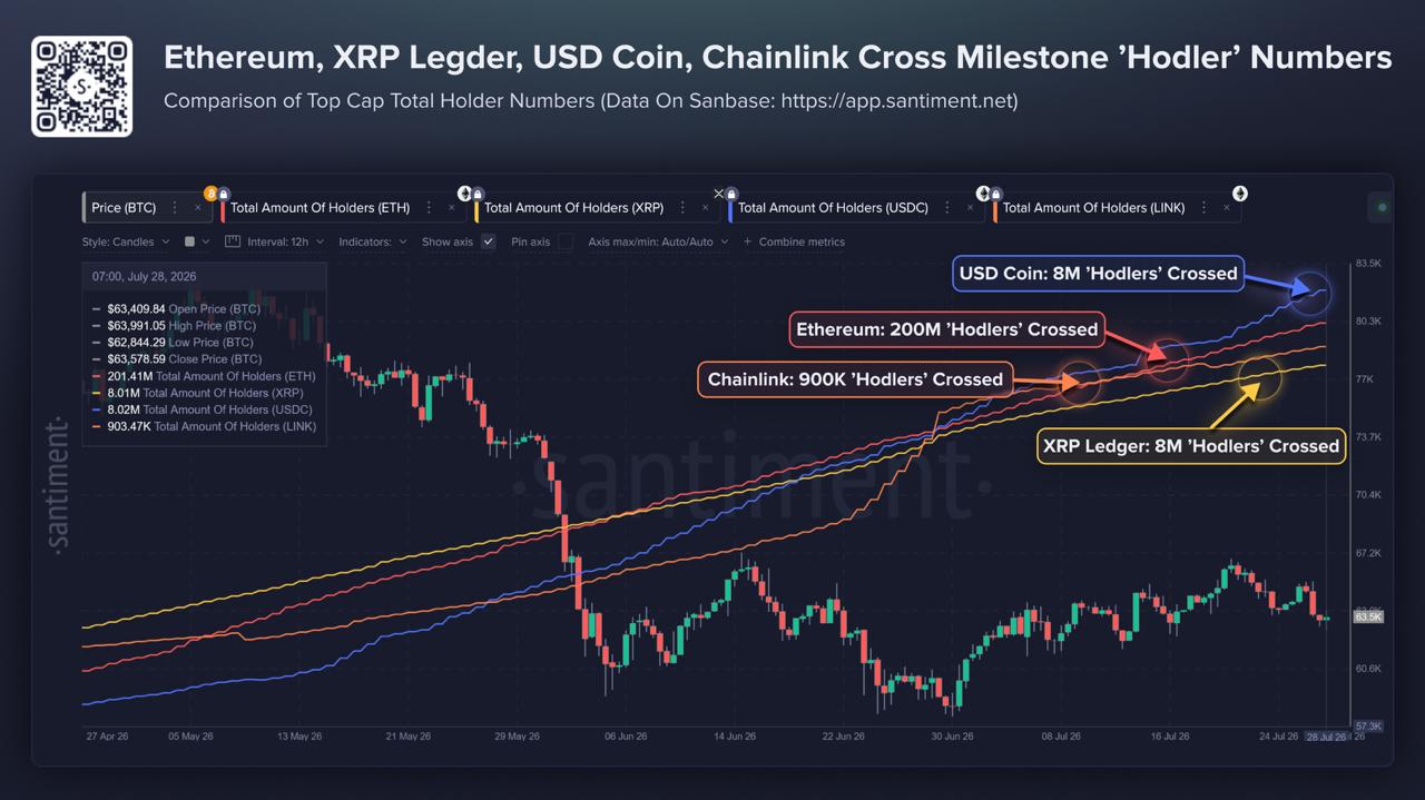 A Santiment on-chain analytics chart comparing total holder numbers across Ethereum, XRP Ledger, USD Coin, and Chainlink.