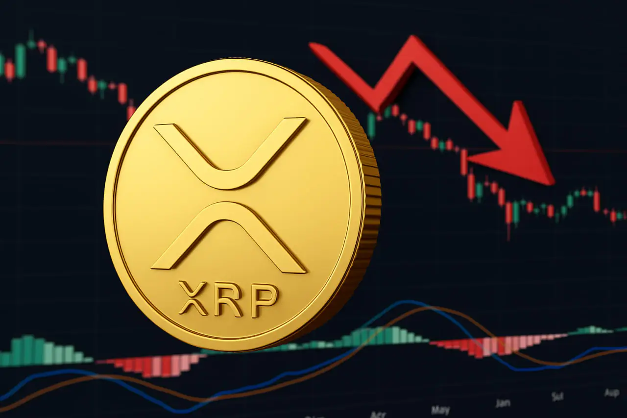 xrp-ripple-img40939